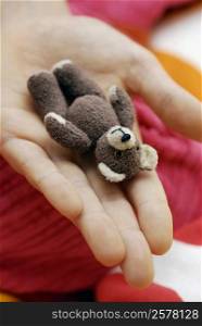 Close-up of a teddy bear on a person&acute;s hand