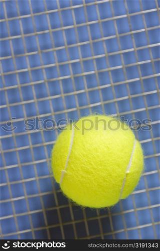 Close-up of a tennis ball and a tennis racket