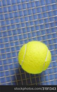 Close-up of a tennis ball and a tennis racket
