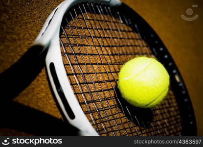 Close-up of a tennis ball on a tennis racket