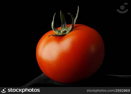 Close-up of a tomato