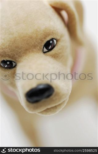 Close-up of a toy dog
