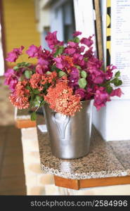 Close-up of a vase on a ledge