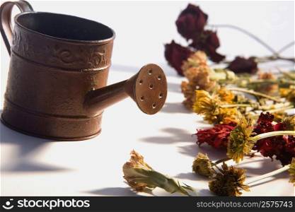 Close-up of a watering can with flowers