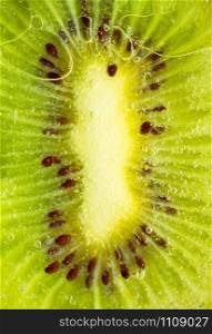 Close-up of a wet juicy kiwi slice