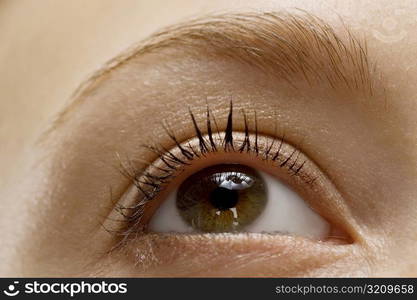 Close-up of a woman&acute;s eye