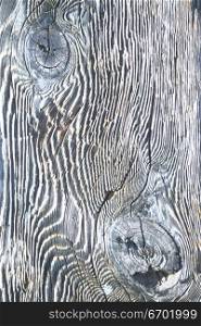 Close-up of a wooden surface