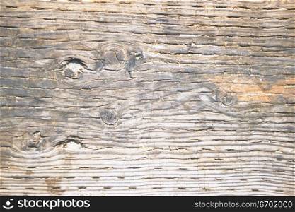 Close-up of a wooden surface
