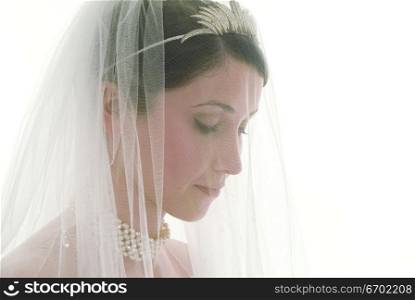 Close-up of a young bride wearing a veil