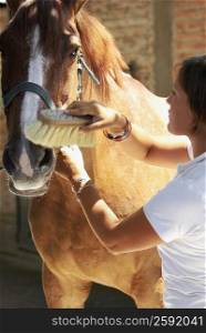 Close-up of a young woman brushing a horse