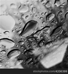 Close-up of abstract water drops on glass window.