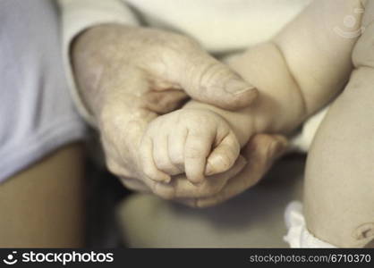 Close-up of an adult&acute;s hand holding a baby&acute;s hand