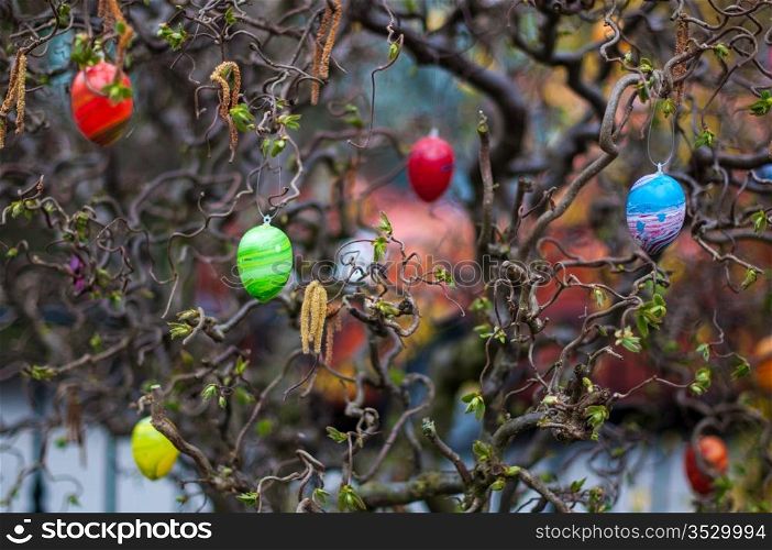 close-up of an easter tree decorated with colorful eggs