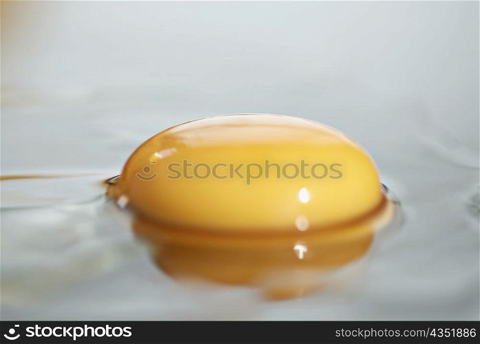 Close-up of an egg yolk