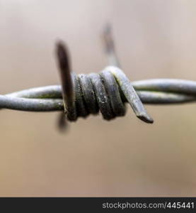 Close-up of an old barbed wire with remains of green paint and rust spots, macro photograph