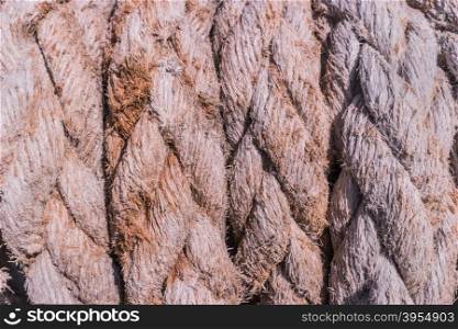 Close-up of an old frayed boat rope as a nautical background.
