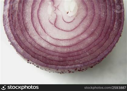 Close-up of an onion slice