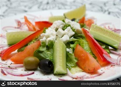 Close-up of Appetizing salad in a plate on white background.