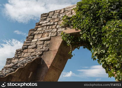 Close-up of Arch Structure Reproduction with Creeper Plant inside a Park in Italy. Close-up of Arch Structure Reproduction with Creeper Plant insid