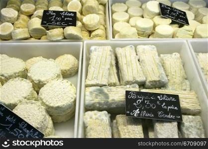 Close-up of assorted cheese in trays