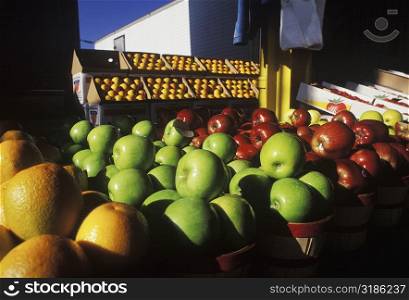 Close-up of assorted fruits in a store