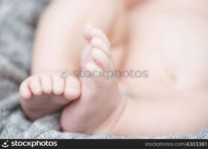 Close up of baby&acute;s toes