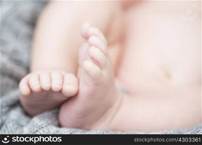 Close up of baby&acute;s toes