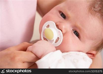 Close Up Of Baby Boy With Dummy Holding Mothers Hand