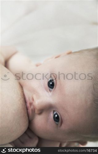 Close-up of baby breastfeeding