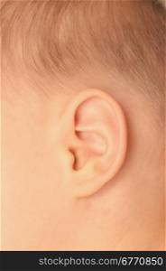 close up of baby ear