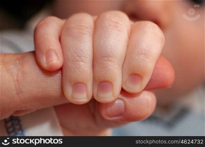Close up of baby hand holding an adult parent finger