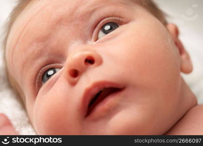 Close Up Of Baby On Towel