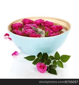 Close up of Beautiful pink roses in bowl over white