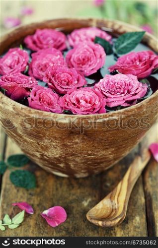 Close up of Beautiful pink roses in bowl over white