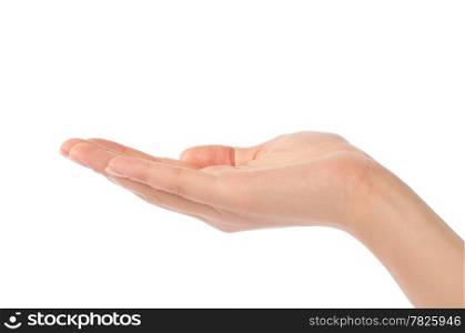 Close-up of beautiful woman&rsquo;s hand, palm up. Isolated on white background