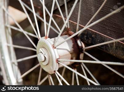 Close-up of bicycle spokes