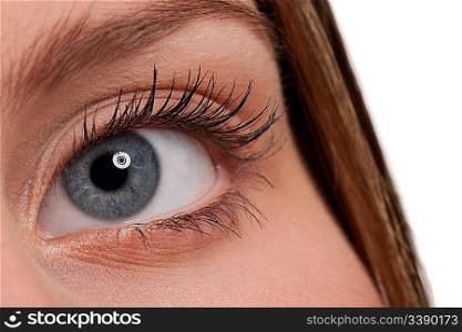 Close-up of blue woman eye on white background, macro lens