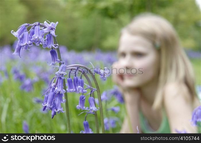 close up of bluebells with young girl out of focus in background