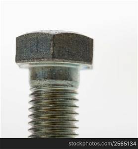 Close up of bolt screw on white background.