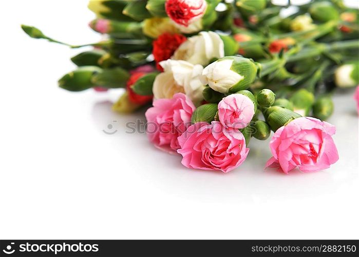 Close up of bouquet of colorful flowers carnation