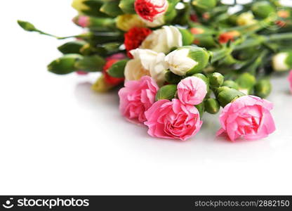 Close up of bouquet of colorful flowers carnation