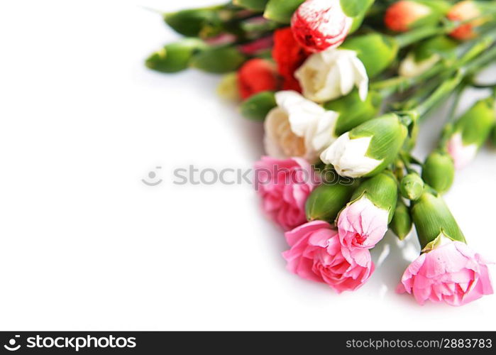 Close up of bouquet of colorful flowers carnation