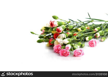 Close up of bouquet of colorful flowers carnation