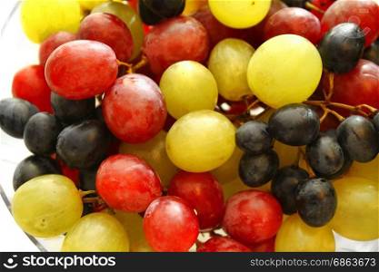 Close up of bright assortment tasty ripe grapes