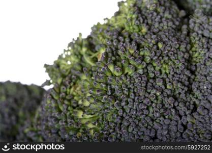 Close-up of broccoli on white background