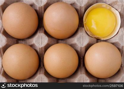 Close-up of brown eggs in a carton