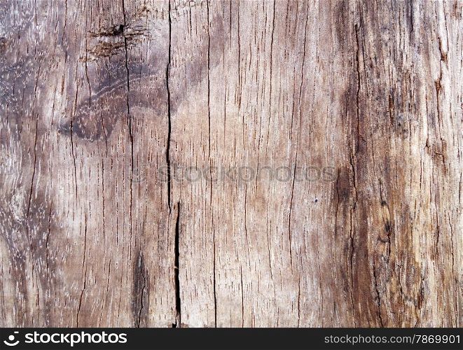 Close up of brown wooden texture backgroud.. Brown wooden texture.