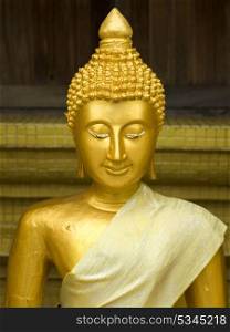Close-up of Buddha statue in temple, Koh Samui, Surat Thani Province, Thailand