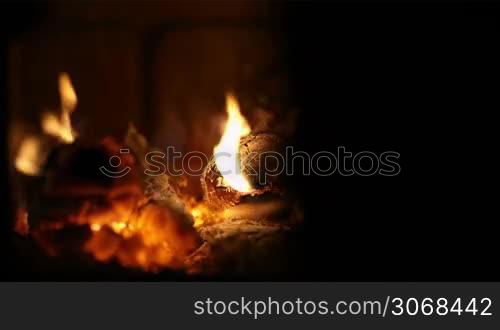 Close-up of burning firewood in the fireplace with hand adding billets to the fire.