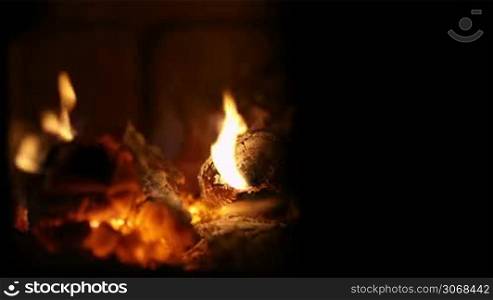 Close-up of burning firewood in the fireplace with hand adding billets to the fire.